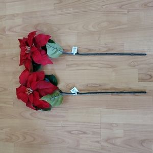 poinsettia stems